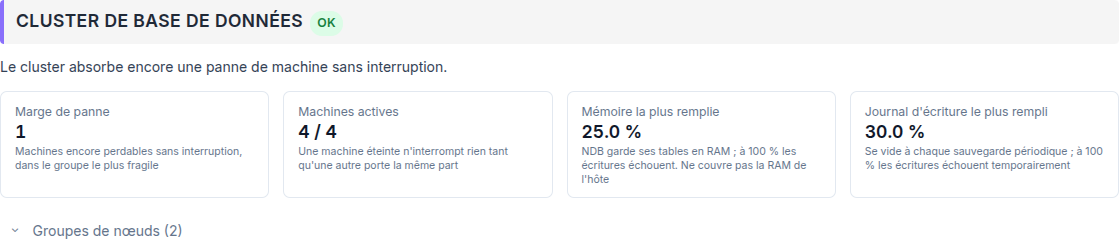 ../../_static/images/instance/health/instance_healthcheck_database_cluster_fr.png