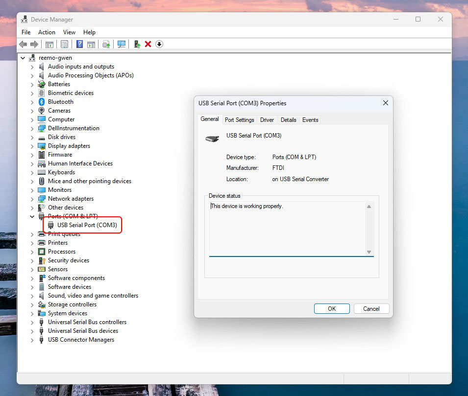 ../../_static/images/guides/usb/devicemanager.jpg