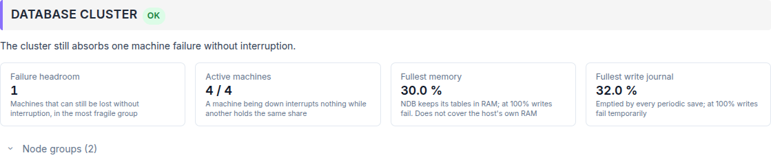 ../../_static/images/instance/health/instance_healthcheck_database_cluster_en.png