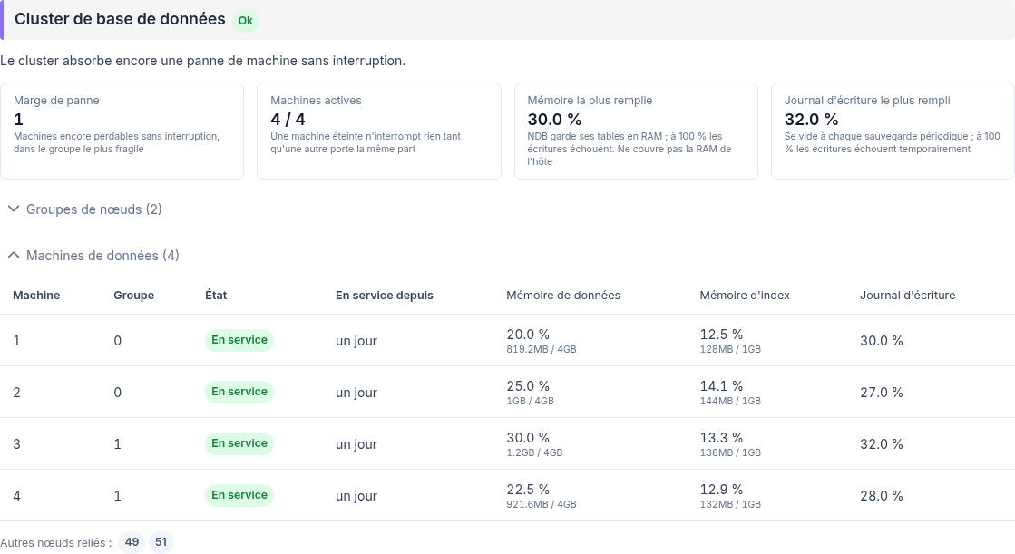 ../../_static/images/instance/health/instance_healthcheck_database_cluster_nodes_fr.png