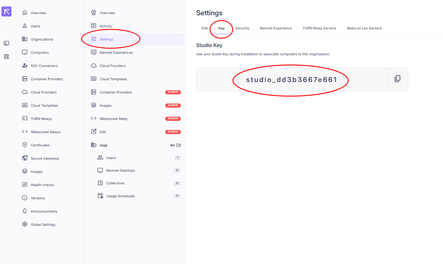 ../../_static/images/instance/instance_new_orga_key.png