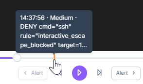 Tooltip of an alert marker on the playback bar